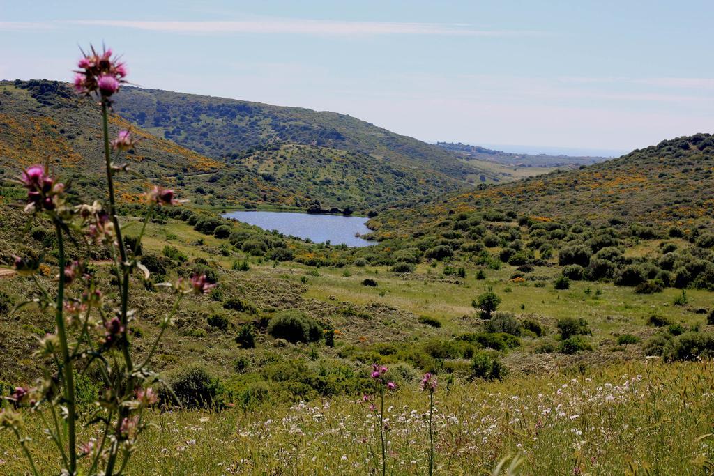 Parco vacanze Monte Ricciu